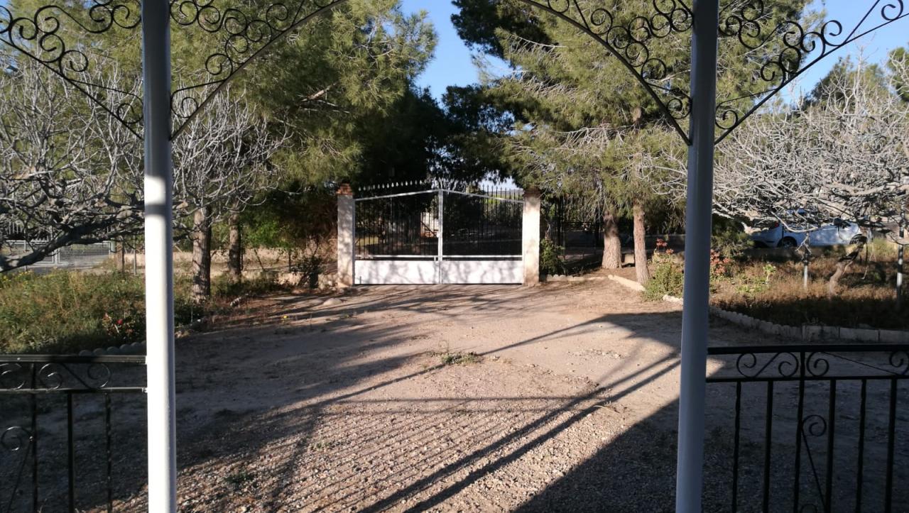 07-11-2019_Foto 12-3-19 19 15 49 - copia.jpg